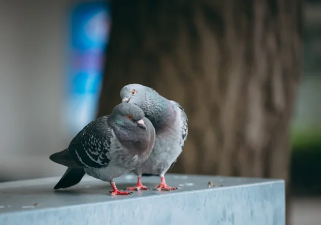 別れた方がいいカップル