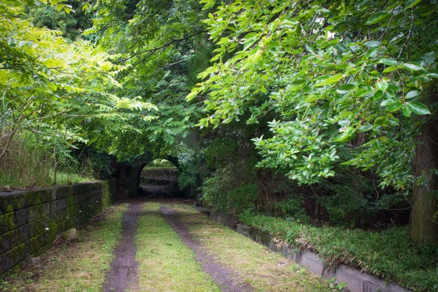 中野区　占い