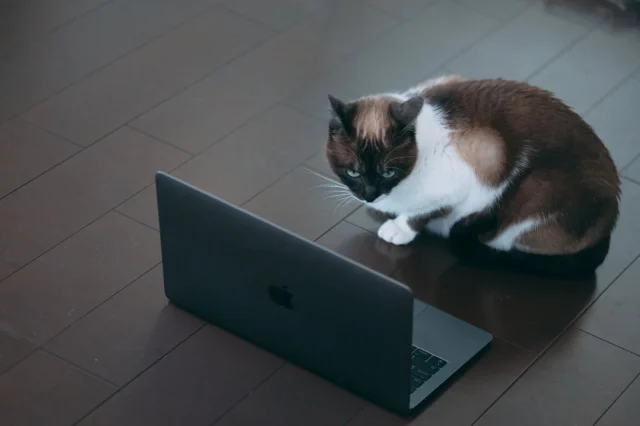 PCMAX ログイン バレる