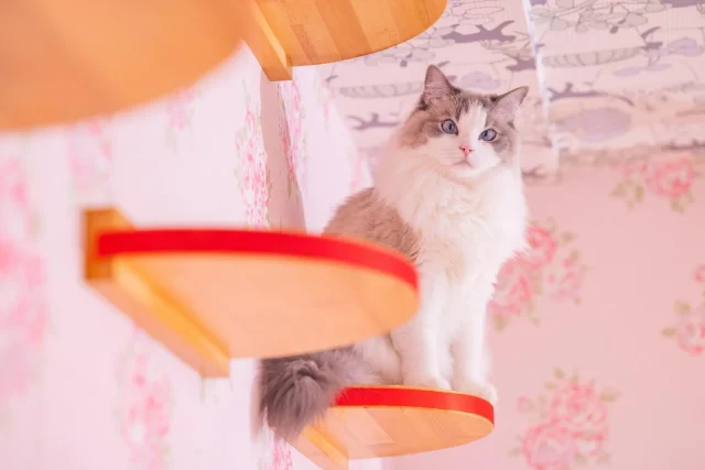 PCMAX　ログイン